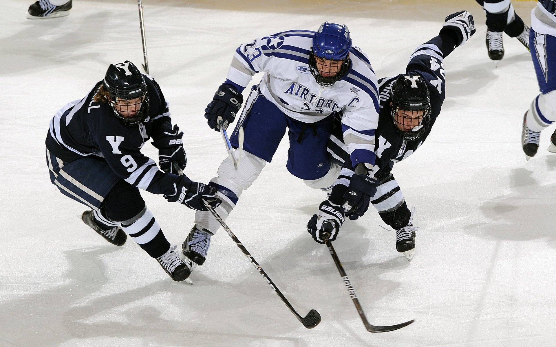 _东京国际公开赛：亚洲新星崭露头角_，东京赛事安排表