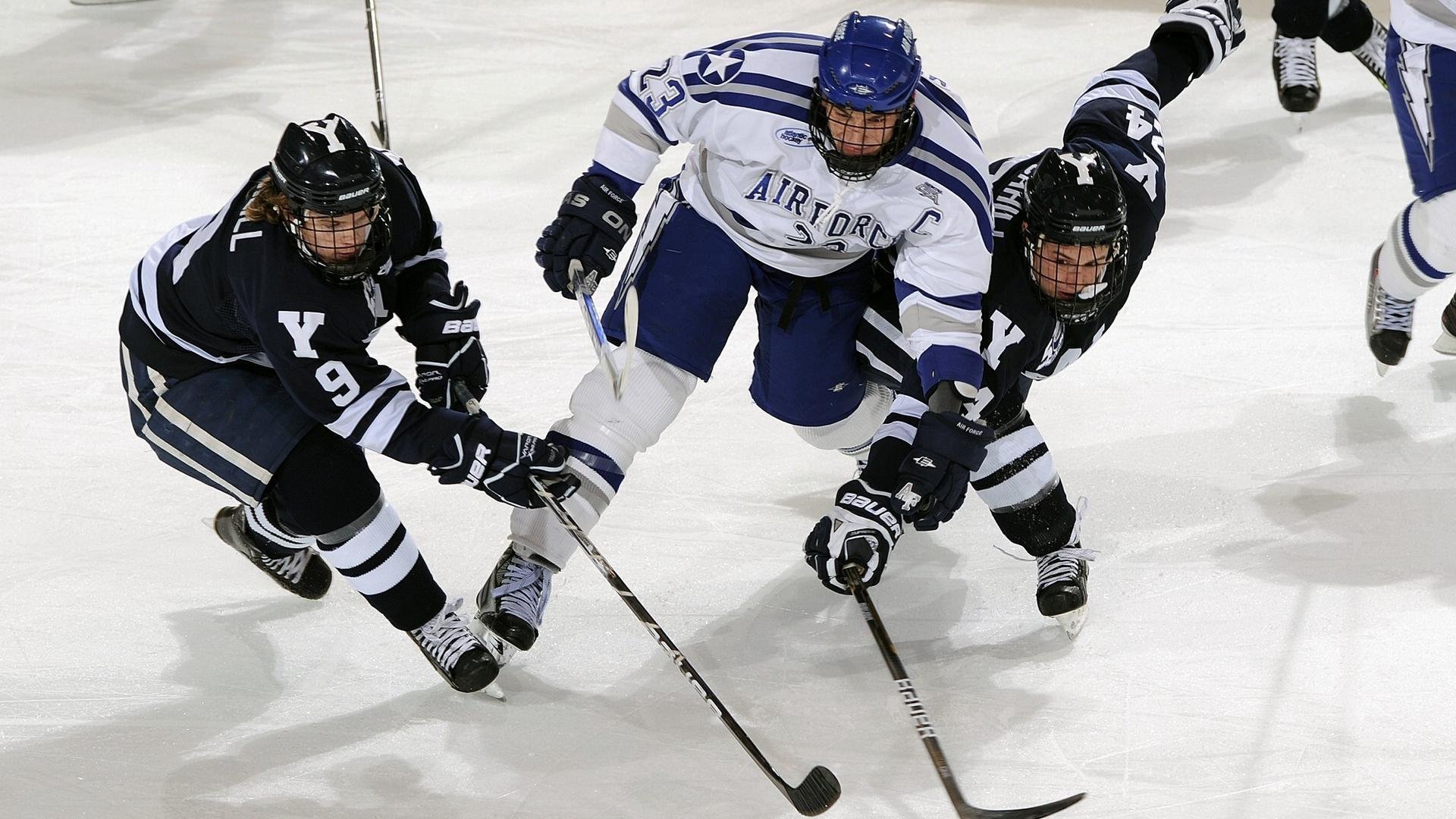 球迷盛典：线上线下球迷活动集锦，线下买球